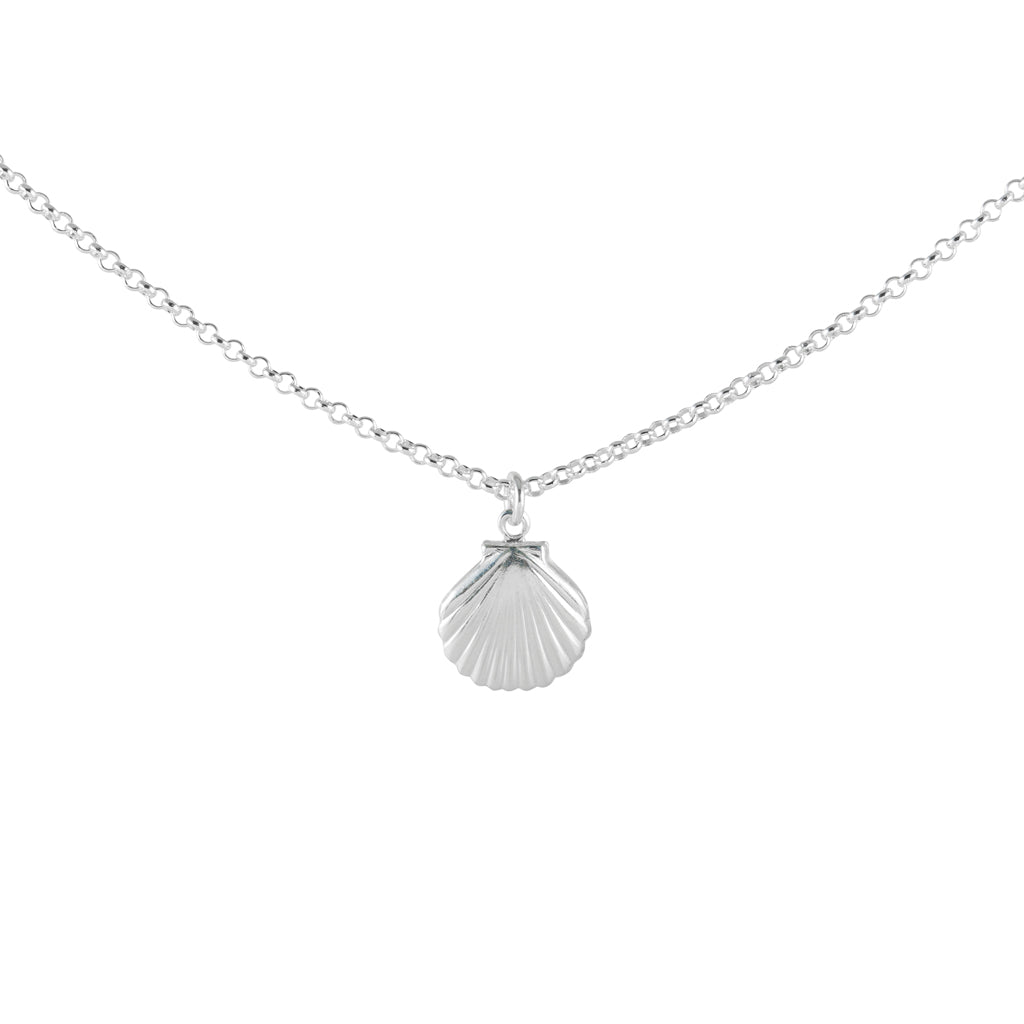 Seashell Pendant Necklace - 925 sterling silver trendy fashion jewelry